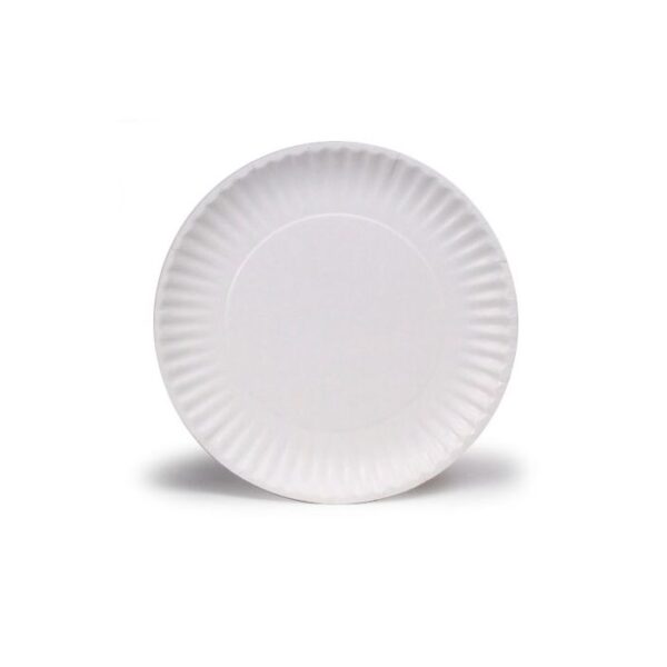 6" Uncoated Paper Plate - 1,000/Case