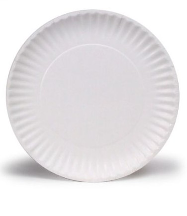 9" Uncoated Paper Plate - 1,000/Case