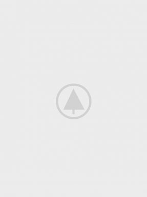 Leo uteu ullamcorper